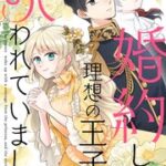 『婚約した理想の王子が呪われていました』1巻表紙
