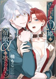 『亡国のΩ姫は宿敵αに娶られる』表紙画像