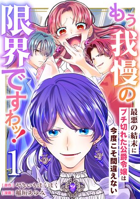 『もう我慢の限界ですわッ！』表紙画像